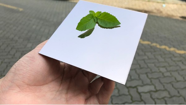 为什么彩色半岛体肓官网装饰板会大受欢迎？