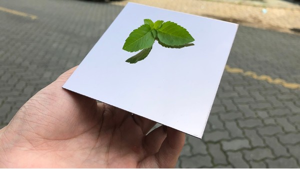 半岛体肓官网镜面如有划痕怎么处理？