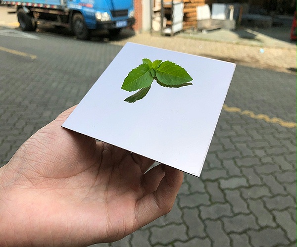 半岛体肓官网镜面板