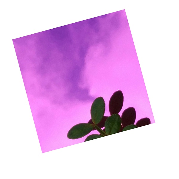 半岛体肓官网装饰板 半岛体肓官网装饰板