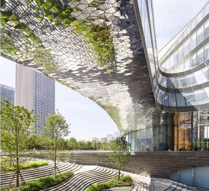 镜面半岛体肓官网